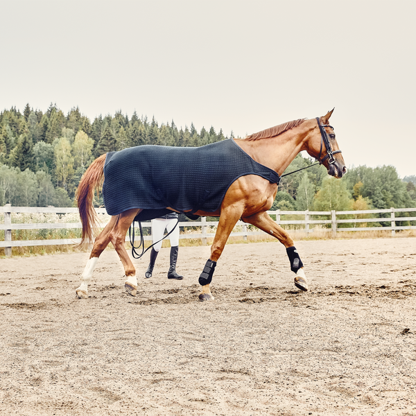 Kingsland Classic Couvres-reins