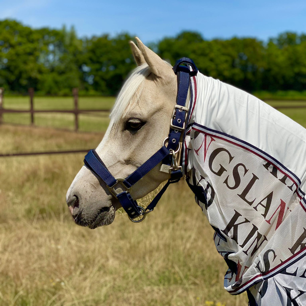 Kingsland Classic Licol avec Polaire